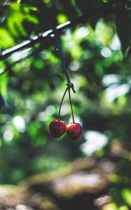 Preview wallpaper cherry, berries, red, ripe, branch