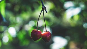 Preview wallpaper cherry, berries, red, ripe, branch