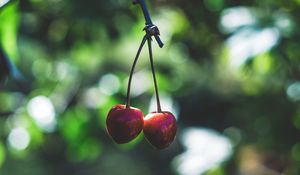 Preview wallpaper cherry, berries, red, ripe, branch