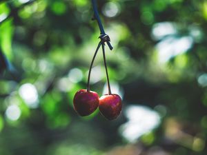 Preview wallpaper cherry, berries, red, ripe, branch