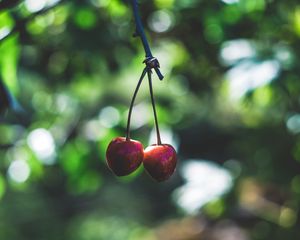 Preview wallpaper cherry, berries, red, ripe, branch