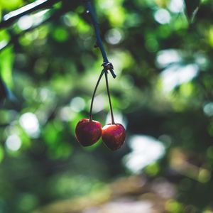 Preview wallpaper cherry, berries, red, ripe, branch