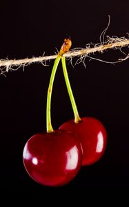 Preview wallpaper cherry, berries, red, thread