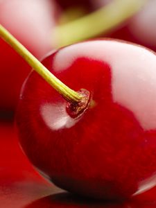 Preview wallpaper cherry, berry, branch, ripe