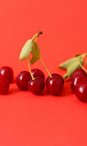 Preview wallpaper cherry, berry, branch, red