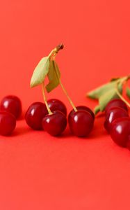 Preview wallpaper cherry, berry, branch, red