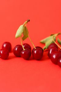 Preview wallpaper cherry, berry, branch, red