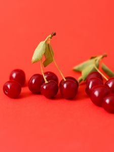 Preview wallpaper cherry, berry, branch, red