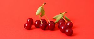 Preview wallpaper cherry, berry, branch, red