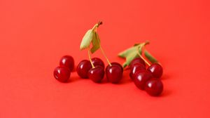 Preview wallpaper cherry, berry, branch, red