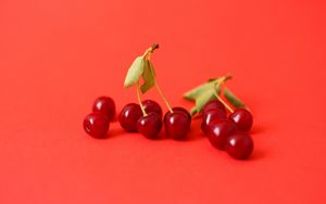 Preview wallpaper cherry, berry, branch, red