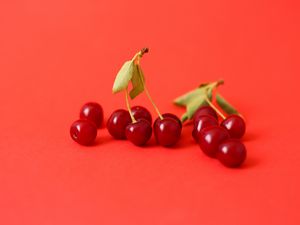 Preview wallpaper cherry, berry, branch, red