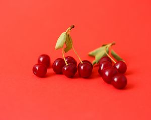 Preview wallpaper cherry, berry, branch, red