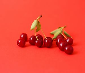 Preview wallpaper cherry, berry, branch, red