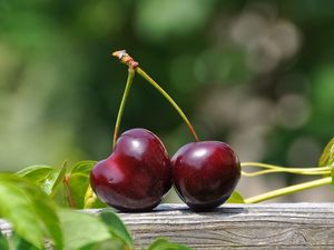 Preview wallpaper cherry, berry, close-up