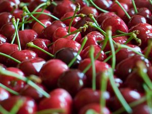 Preview wallpaper cherry, black, branch, ripe berry