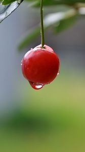 Preview wallpaper cherry, close-up, drop, berry, summer, tasty