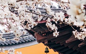 Preview wallpaper cherry, flowers, branches, pagoda, architecture