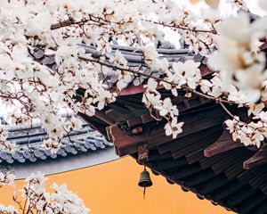 Preview wallpaper cherry, flowers, branches, pagoda, architecture