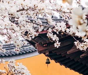 Preview wallpaper cherry, flowers, branches, pagoda, architecture