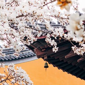 Preview wallpaper cherry, flowers, branches, pagoda, architecture