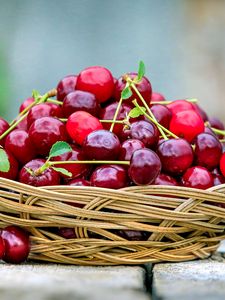 Preview wallpaper cherry, fruit, basket, food