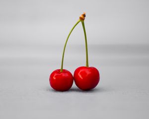 Preview wallpaper cherry, fruit, white background