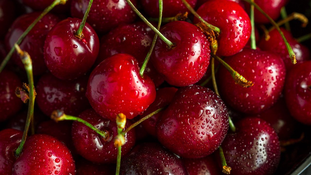 Wallpaper cherry, ripe, wet, berries, harvest, red, drops