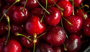 Preview wallpaper cherry, ripe, wet, berries, harvest, red, drops