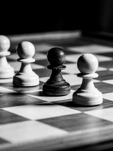 Preview wallpaper chess, pawns, cell, game, black and white