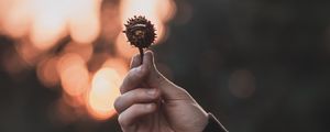 Preview wallpaper chestnut, seeds, hand, focus, glare