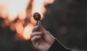 Preview wallpaper chestnut, seeds, hand, focus, glare