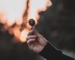 Preview wallpaper chestnut, seeds, hand, focus, glare