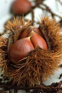 Preview wallpaper chestnuts, walnuts, autumn, treats