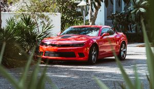 Preview wallpaper chevrolet camaro, car, sportscar, supercar, red