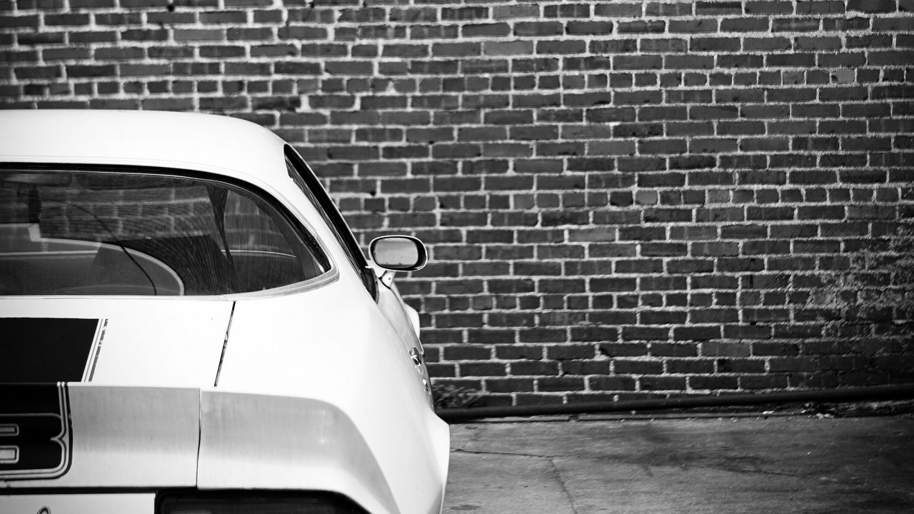 Wallpaper chevrolet camaro z28, chevrolet, car, white, back view
