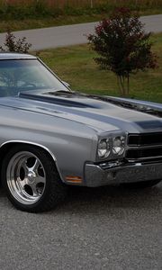 Preview wallpaper chevrolet, chevelle, ss, 1970, gray, side view