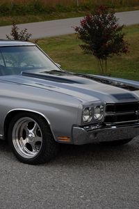 Preview wallpaper chevrolet, chevelle, ss, 1970, gray, side view