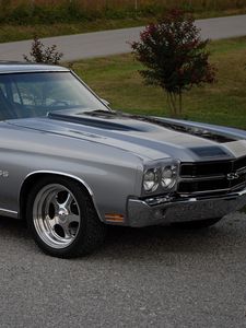 Preview wallpaper chevrolet, chevelle, ss, 1970, gray, side view