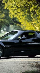 Preview wallpaper chevrolet corvette, black, nature, cars