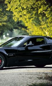 Preview wallpaper chevrolet corvette, black, nature, cars