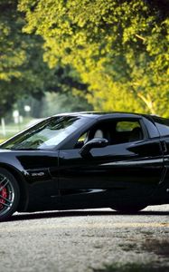 Preview wallpaper chevrolet corvette, black, nature, cars