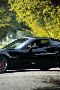 Preview wallpaper chevrolet corvette, black, nature, cars