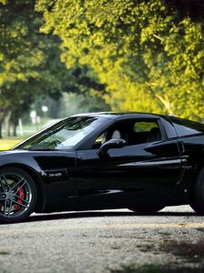 Preview wallpaper chevrolet corvette, black, nature, cars