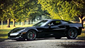 Preview wallpaper chevrolet corvette, black, nature, cars