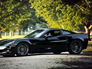 Preview wallpaper chevrolet corvette, black, nature, cars