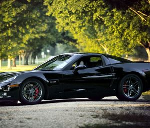 Preview wallpaper chevrolet corvette, black, nature, cars