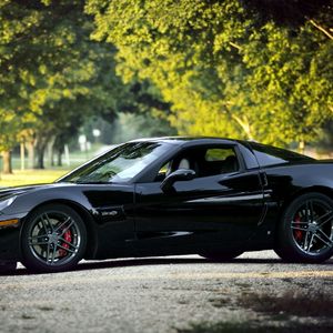 Preview wallpaper chevrolet corvette, black, nature, cars