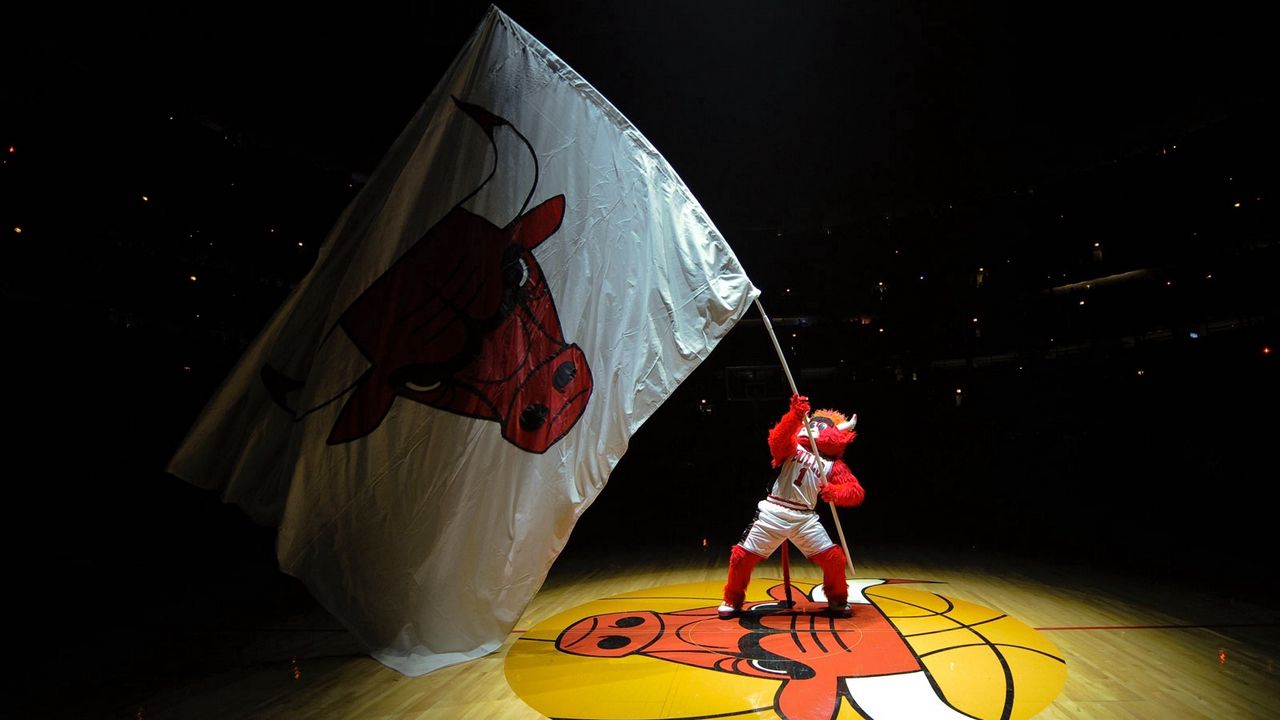Wallpaper chicago bulls, basketball, emblem, symbol, flag, fan