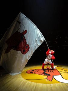 Preview wallpaper chicago bulls, basketball, emblem, symbol, flag, fan